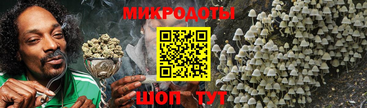Галлюциногенные грибы Cubensis  Вход с VPN  Кстово 