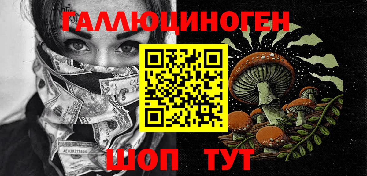 Галлюциногенные грибы Psilocybe Кстово